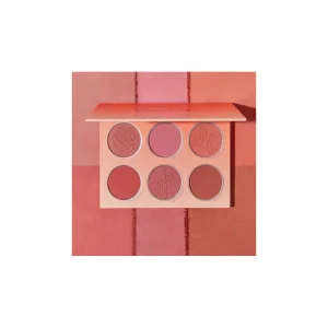 پالت رژگونه 6 رنگ شیگلم SHEGLAM floral flush